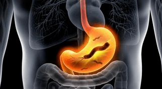 Manhine's stomach